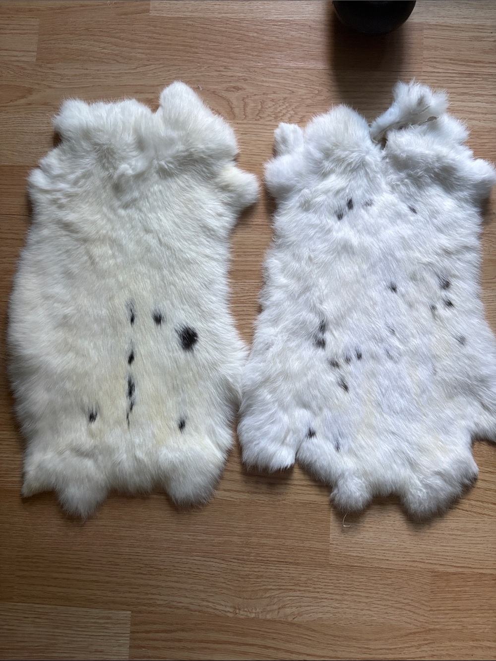 B0208White Spotted Rabbit Fur Pelts - Pair